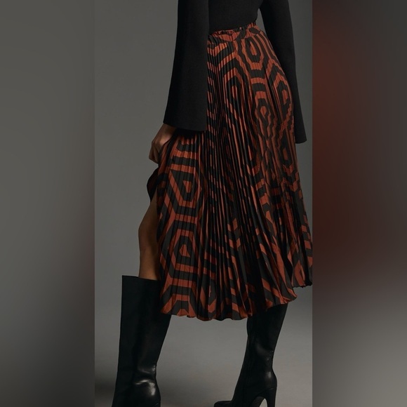 Anthropologie the Valerie Pleated Midi Skirt - Picture 3 of 5